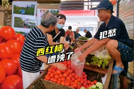天没亮就来摆摊卖菜，生意还不错老爸却犯愁，西红柿被低价竞争！视频封面