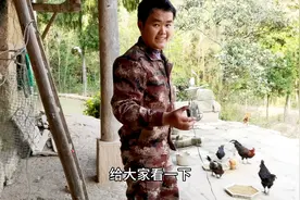 深山老宅连2G信号都没有，小伙不拉网线实现wifi覆盖，还不交网费视频封面