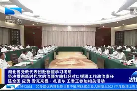 湖北省党政代表团赴新疆学习考察视频封面
