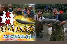在武夷山脚下的古村落包下一口考鱼塘，最后塘主竟然要送鱼视频封面