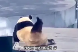 花花是谁？我明明叫果赖~