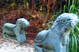 江西村民山间发现两个黑洞，专家赶到现场：这下面埋着溥仪的大将视频封面