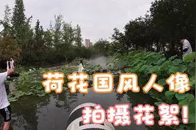 摄影师到水中拍荷花妹纸，你有过吗？感觉好极了！
