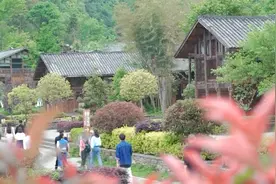 遵义市文联走进正安县调研吉他产业 探讨文艺助力乡村振兴视频封面