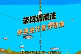 钓底没口，试试钓浮，这个调漂方式，底浮轻松就能切换！视频封面