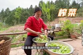 地里的青菜吃不完，弄一筐回家做榨菜，方法简单又好吃视频封面