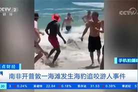 追咬儿童被驱赶又袭击一游泳女子！南非海滩发生海豹伤人事件视频封面