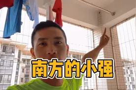 南方的蟑螂跟蝉一样大，腿长而且还到处乱飞，差点扑到曾哥身上视频封面