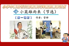 长文如何短教？《小英雄雨来》观摩课，美女老师挑战小学最长课文视频封面