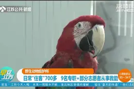 南京红山森林动物园:“神秘宝地”不对外开放,日常“住客”700多视频封面