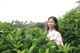 王馨一首《你怎么让我忘记》，听多少遍都不够，听完更想你了