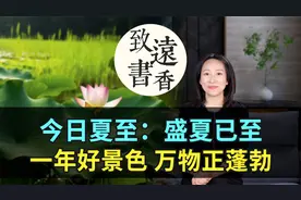 今日夏至：盛夏已至！一年好景色，万物正蓬勃。二十四节气视频封面