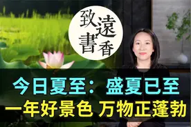 今日夏至：盛夏已至！一年好景色，万物正蓬勃。二十四节气视频封面