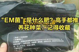 “EM菌”是什么肥？为何高手都推荐？养花种菜，记得收藏视频封面