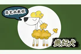 简笔画 孩子们贵妇犬狗狗好看吗  儿童学画画 少儿美术 绘画教程