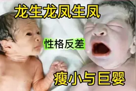 新生儿刚同时降临性格差异体格不同的婴儿 差距为什么这么大?视频封面