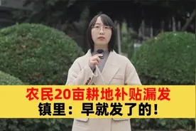 农民20亩耕地补贴漏发，镇里：不可能，早就发了！视频封面