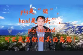 pig是“猪”，head是“头”，pig-headed可不是骂你猪头的意思！视频封面