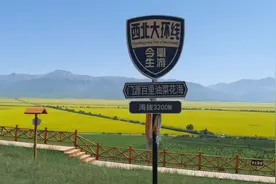 青海门源：百里油菜花海视频封面