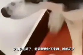 搞笑集合：小王，我可想死你了，宝，我老公回来了。视频封面