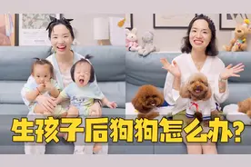 生孩子之后还能不能养狗？宝宝和狗狗生活在一起的优缺点！视频封面