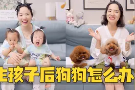 生孩子之后还能不能养狗？宝宝和狗狗生活在一起的优缺点！视频封面