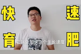 育肥猪催肥配方，养猪人自己制作成本低，育肥猪出栏快！视频封面