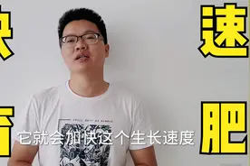 育肥猪催肥配方，养猪人自己制作成本低，育肥猪出栏快！视频封面