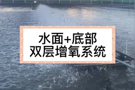 小伙养虾有绝招，采用水面+底部双层增氧，效益实在是太好了！视频封面