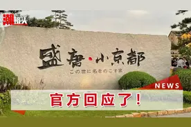 大连“日本街”引争议，只允许日本商品和商户入驻？官方辟谣了视频封面