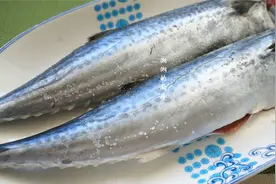 鲅鱼这样做最简单好吃，鲜嫩入味没腥味，营养又解馋