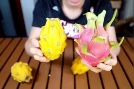 开箱火龙果的表亲“麒麟果”，身价是火龙果的28倍，吃不起吃不起视频封面