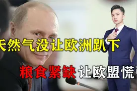 天然气没让欧洲趴下，粮食紧缺让欧盟紧张！致电普京求放一马视频封面