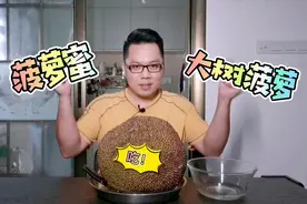 树上自然熟的菠萝蜜，香甜脆口真好吃！它还有个名字叫大树菠萝！视频封面