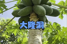 iphone13pro max原相机4K60效果怎么样（大隆洞）