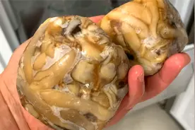 夏天，碰到此肉别手软，比猪肉便宜，比大虾鲜香，包饺子特好吃