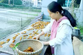 自制绿色纯自然的番薯干，软糯香甜，满满的小时候的味道视频封面