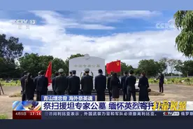 青山埋忠骨，海外祭英魂！祭扫援坦专家公墓，缅怀英烈寄托哀思视频封面