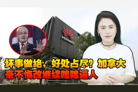 坏事做绝，好处占尽？加拿大：对中国既要“合作”也要“挑战”视频封面