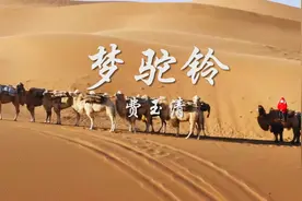 一首费玉清《梦驼铃》怀旧经典，风沙吹老了岁月，吹不老我的思念视频封面