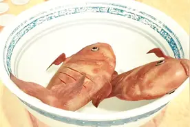 熊出没：强哥爱吃美味红烧鱼，真香！视频封面