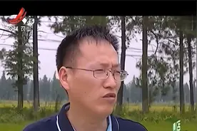 用植保无人机喷洒农药 一天能喷洒四百亩稻田 能提高农药的利用率视频封面