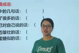 巧填成语：很少的几句话，说了很多的话，蜜糖似的话，是什么成语视频封面
