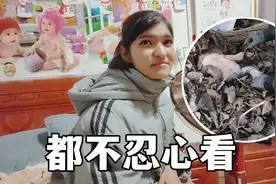 小狗意外被捕兽夹夹住，王哥帮忙去救助，佳音心疼坏了！视频封面