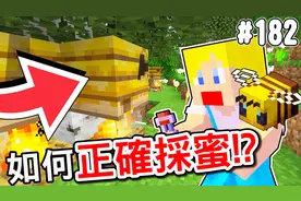 苏皮【我的世界】1.15 蜂蜜的采收方式 182