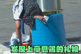 真实凤凰城：贵妇几日未食，垃圾箱翻找食物，画风果然很美国视频封面