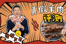 羊肉串都是貂肉、猫肉、老鼠肉做的？实测13款，结果大翻车！视频封面