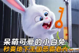 呆萌可爱的小白兔，居然是地下王国的老大，动画片《爱宠大机密》视频封面