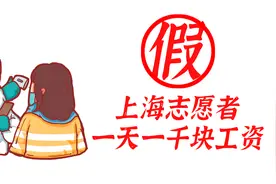 【假】上海疫情志愿者每日工资一千块！视频封面