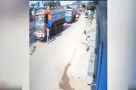 可怕！印度豹子突然发狂攻击一名男子 一群狗子见状一起冲了上去视频封面